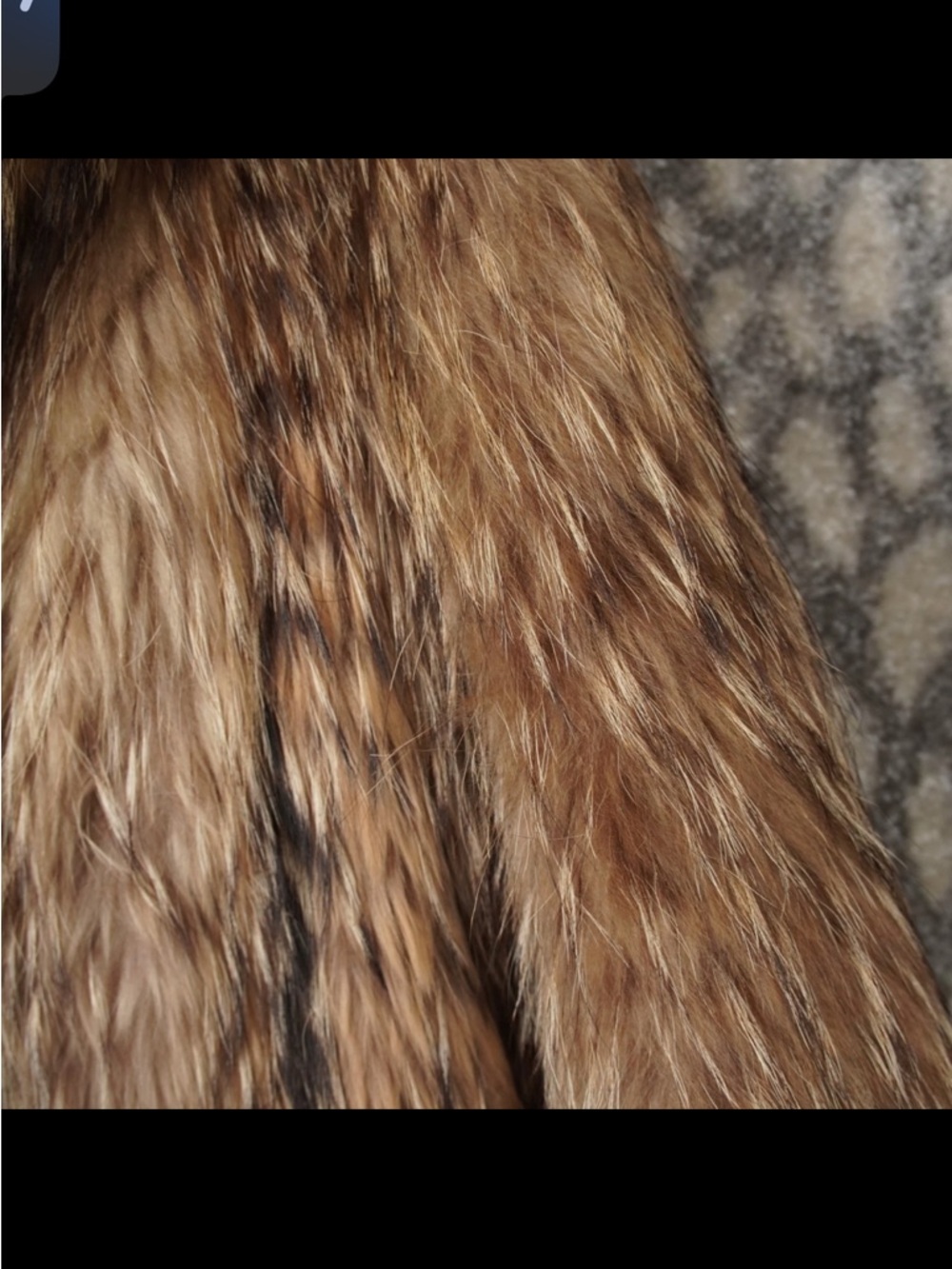 Vintage Japanese Raccoon Fur Coat Jacket Womens Size M Brown Striped Tanuki 80s - Picture 8 of 15